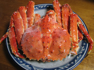 100524-kani.jpg
