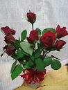 20126-22-bara.jpg